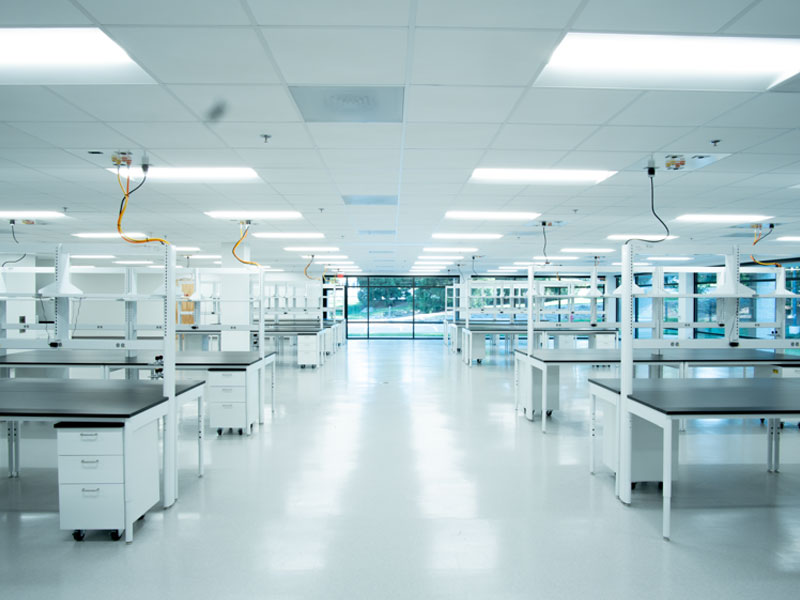 Newcastle-Lab-(10)