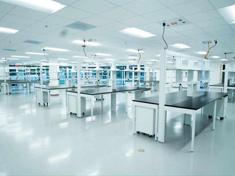 Newcastle-Lab-(3)