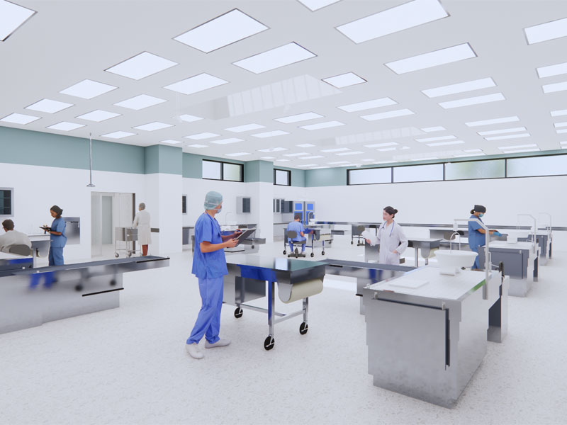 Clarkson-Autopsy-Interior